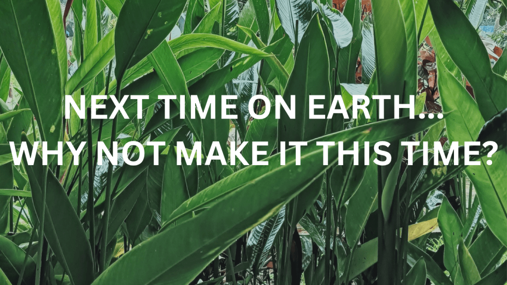 NEXT TIME ON&nbsp;EARTH